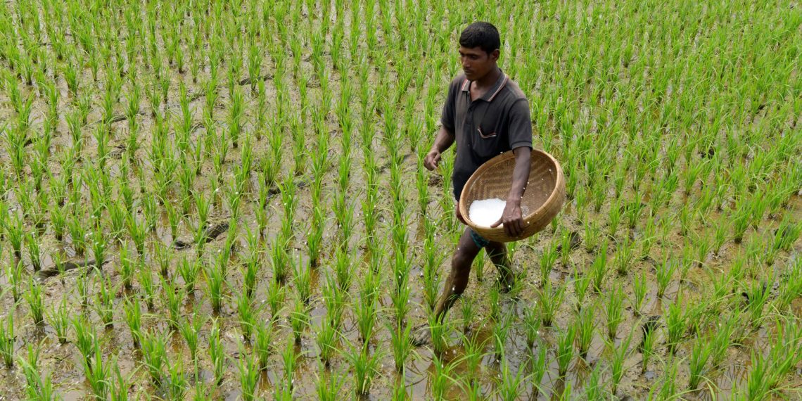 Fertilizer stocks jump with Israel conflict stokin