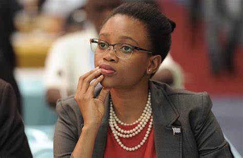 Former Botswana Trade Minister raises rad flags on